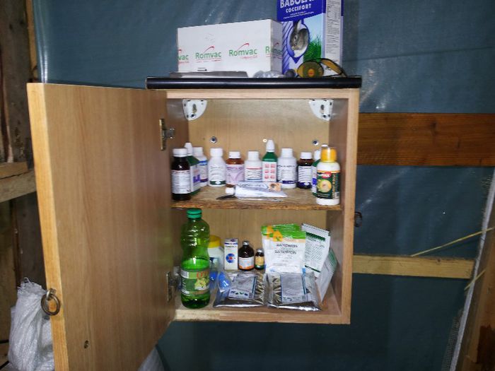 20130322_195236 - G Medicamente ce folosesc