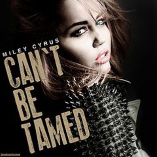 6413811821_e592d6ea68_m