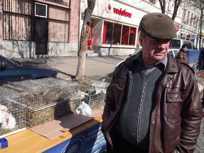 IVAN cel SABIN - TARGUL SASESC DE PASTE BISTRITA 2013