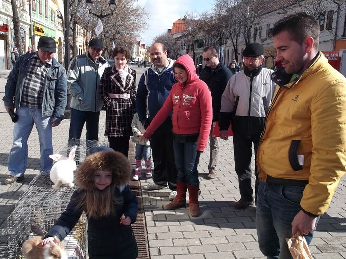 ASA SE CRESC IEPURARII - TARGUL SASESC DE PASTE BISTRITA 2013