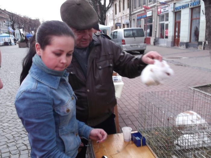 ASTA-L FAC PARASUTIST - TARGUL SASESC DE PASTE BISTRITA 2013