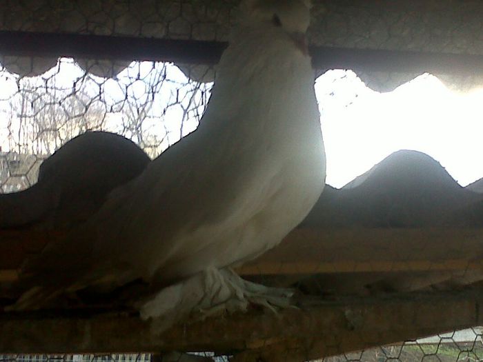 IMG00557-20130323-1743
