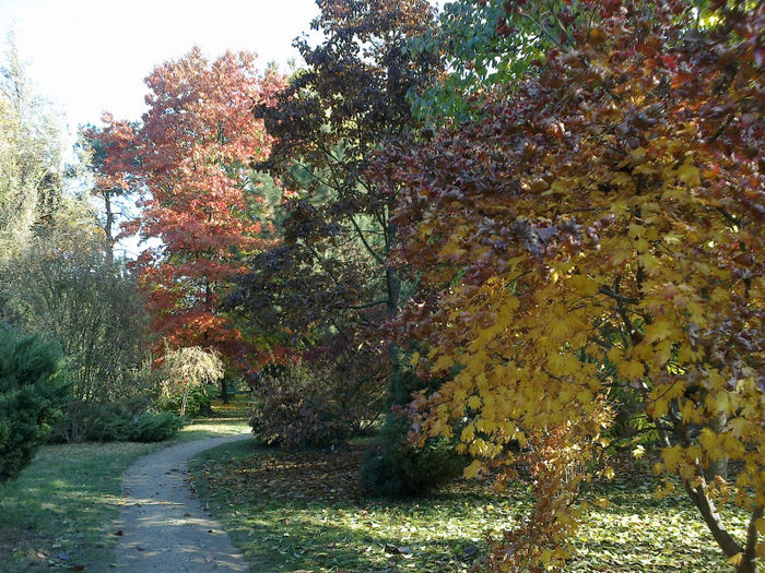 Nov 2011 - 4 - Parc botanic Macea