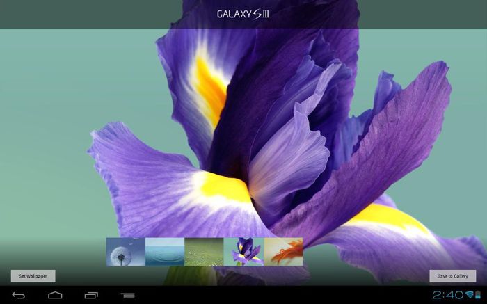 Acasa,la Violetta - XxX-The Magic Guitar_Film-XxX