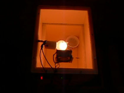 Prima proba cu termostatul nou - 2013 - Incubator si puiuti de gaina