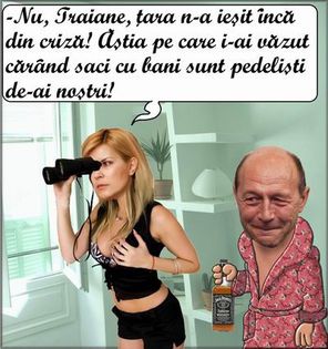 saci de bani - varianta basescu