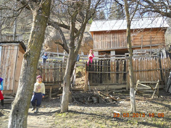 036 - la munte casa din Bistra
