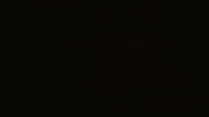 vlcsnap-00063