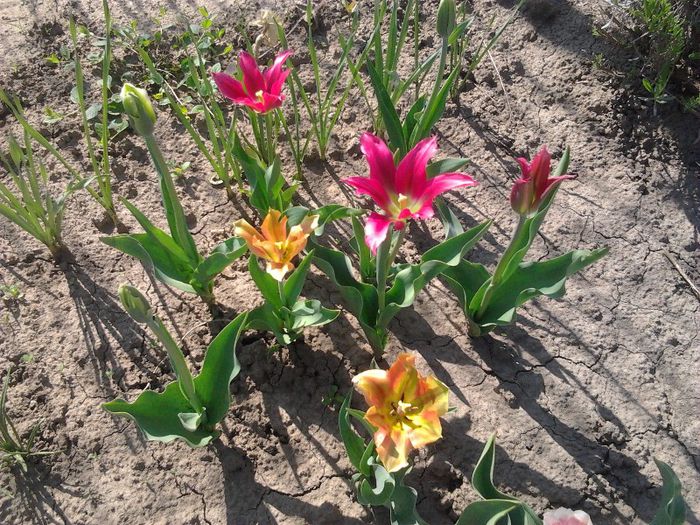 Copy of 2012-05-01 10.32.02