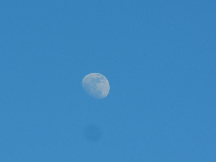 Beautiful Moon (2013, Mar.23, 5.26 PM)