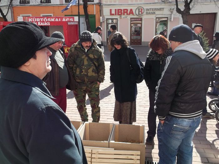 RECULEGERE PENTRU CEL TAIAT - TARGUL SASESC DE PASTE BISTRITA 2013