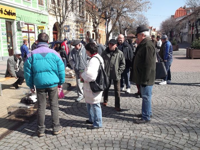 LUME MULTA, CRIZA PROFUNDA.... - TARGUL SASESC DE PASTE BISTRITA 2013