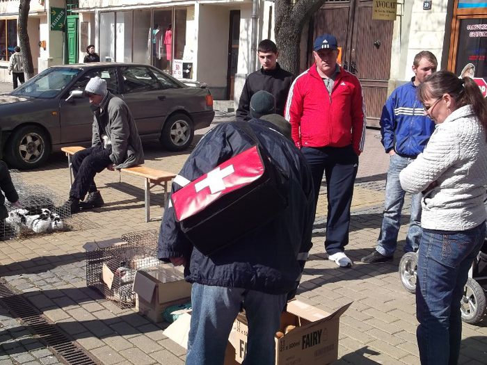 "PRIM AJUTOR" LA PUIUTI - TARGUL SASESC DE PASTE BISTRITA 2013