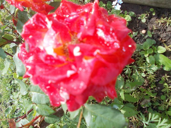 DSCN3830