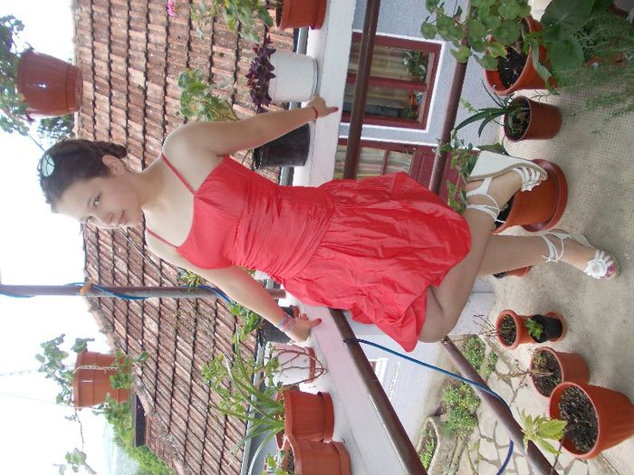 DSCN3932 - flori 2012