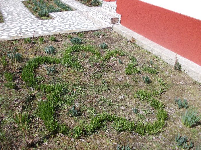 DSCN0174