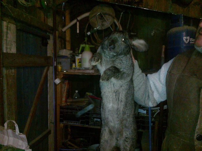 240320131017; MASCUL UG
