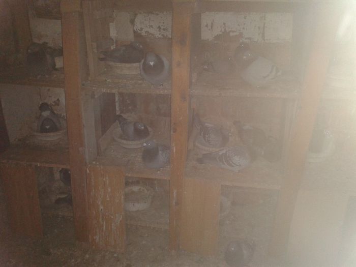 compartiment matca viteza-demifond