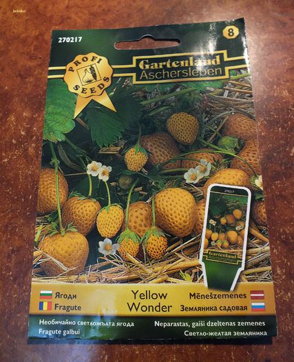 1 - plic seminte fata - Fragaria vesca Yellow Wonder - fragi galbeni germinare