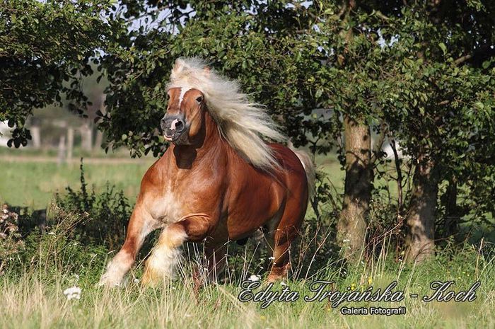 970126_IMG_1549_big - Copy