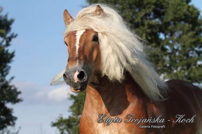 k,NDE3NTAzNTMsNDUzODUwNzQ=,f,121355_IMG_1567_medium