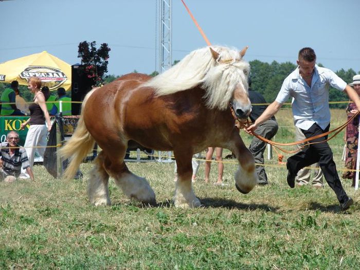 k,NDE3NTAzNTMsNDUzODUwNzQ=,f,177695_Rio_du_Dol_16_big - Copy