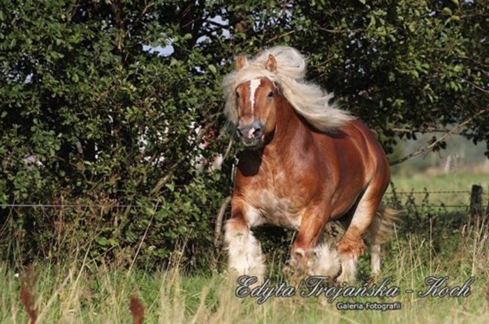 k,NDE3NTAzNTMsNDUzODUwNzQ=,f,452385_IMG_1733_medium - Copy