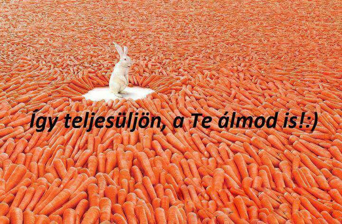 sa se indeplineasca si visul vostru