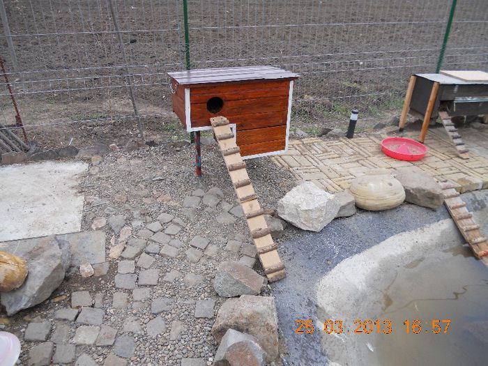 DSCN3514 - Pasari De Apa