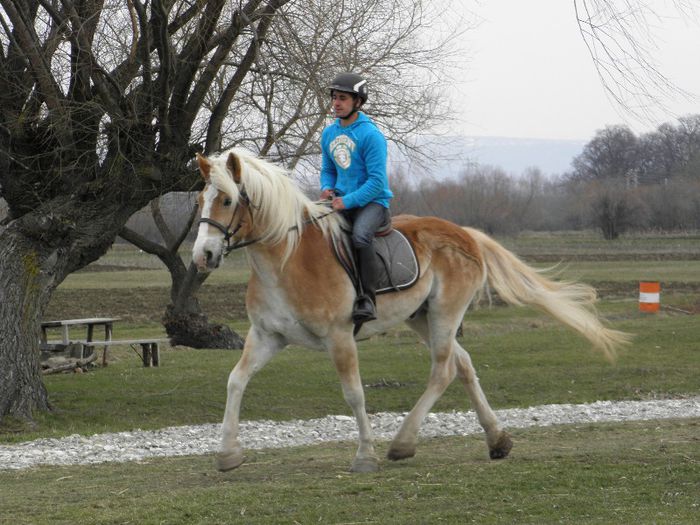 CAL HAFLINGER - MARKUS