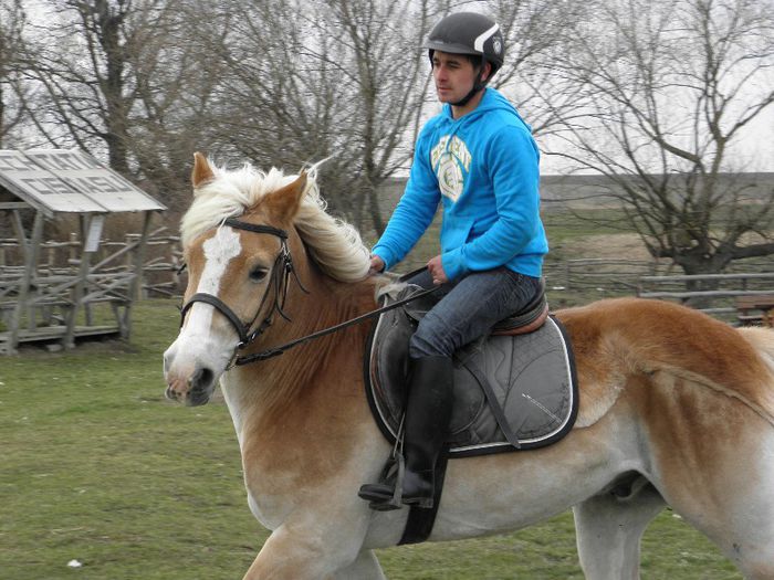 CAL HAFLINGER - MARKUS