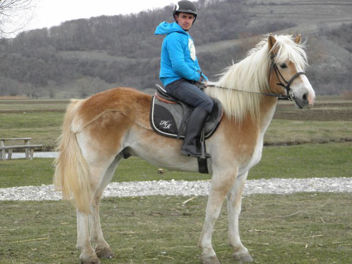 P3258268 - VANZARI CAI