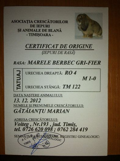  - mascul nr1 gri fier