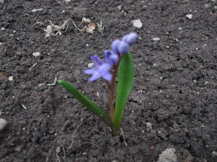 tudorgheorghe sunphoto