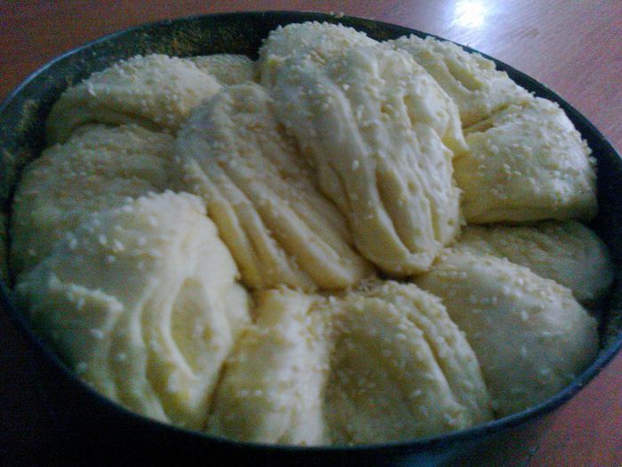 Paine decorativa cu susan - 6