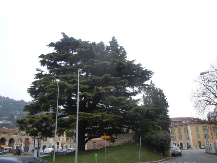 DSCN9913 - 2013 Lombardia