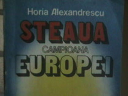 27334975_BJVSCVIVC - STEAUA