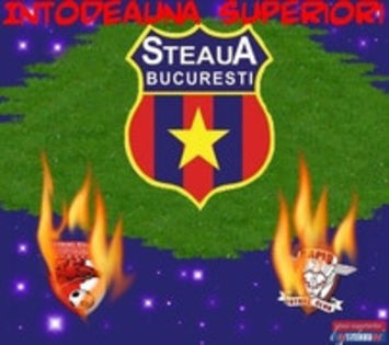 27339333_XTWIEWGJS - STEAUA