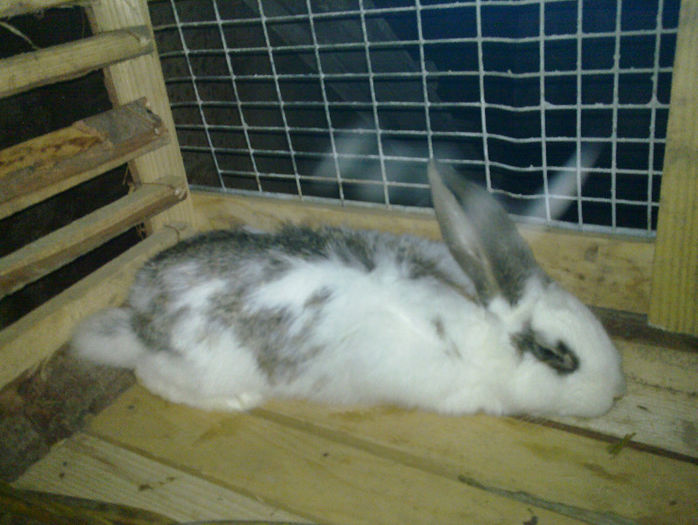 20130320_016 - iepuri 2013