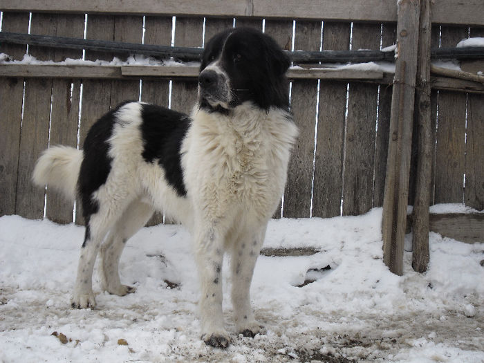 SAM_0878 - MAX