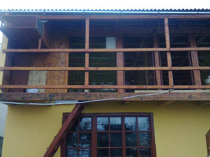 voliera noua tippleri; tippleri
