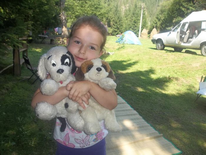 100_4345 - Poze Arieseni