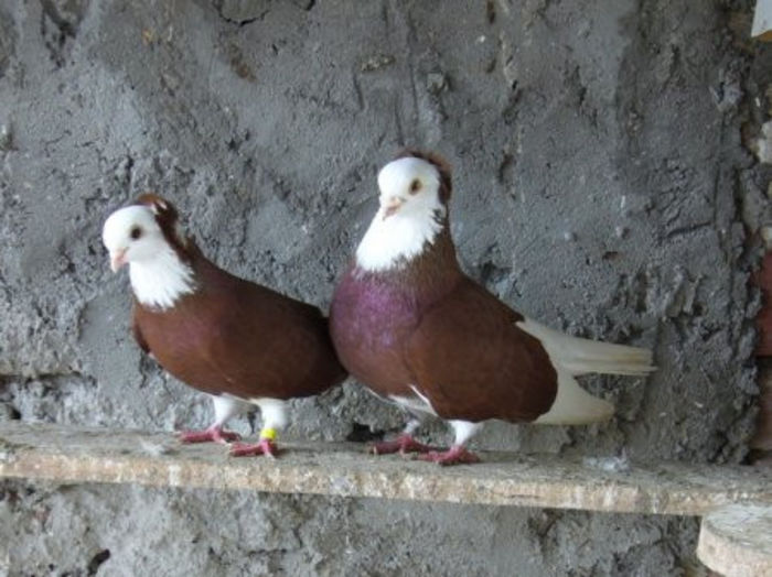 a5e0677f-100f-4722-9985-7db856442847