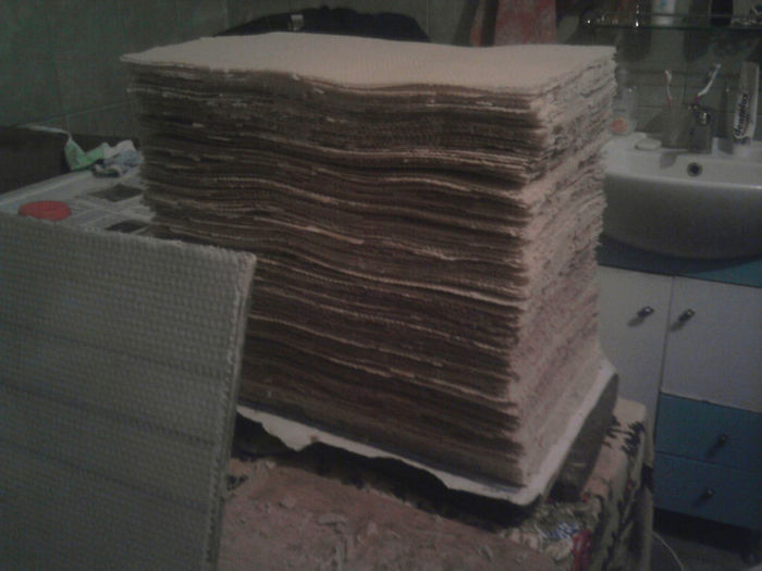 Fotografie4916 - Stupina-Stationar deocamdata