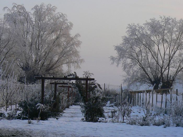 ianuarie 2013 - Gradina 2013