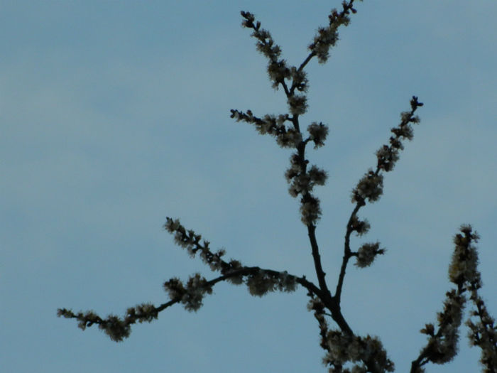 DSCN5872
