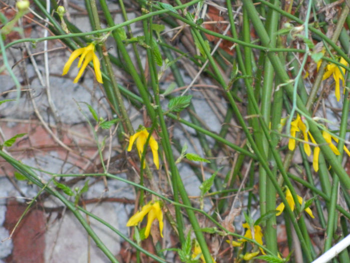 DSCN5878