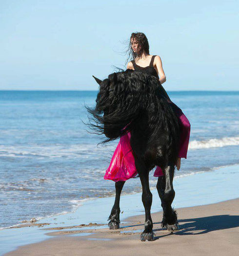 250056_264509566984726_1870896447_n