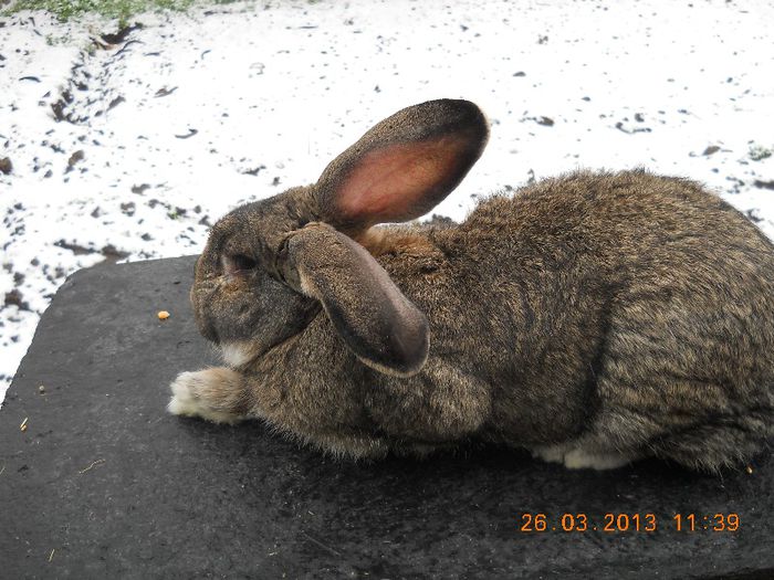 Picture 554