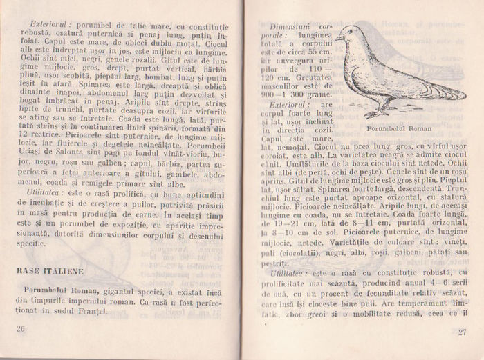p141 012